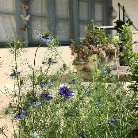Le De L'atelier Bergerac